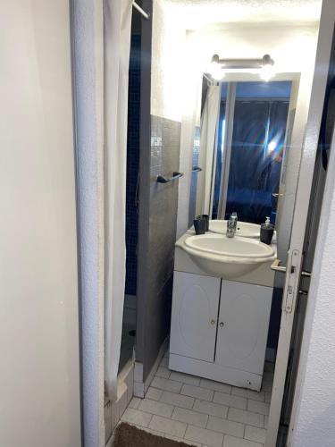 une salle de bain avec un lavabo et un miroir dans l'établissement Cap d'Agde Naturist Exclusive Studio, au Cap d'Agde