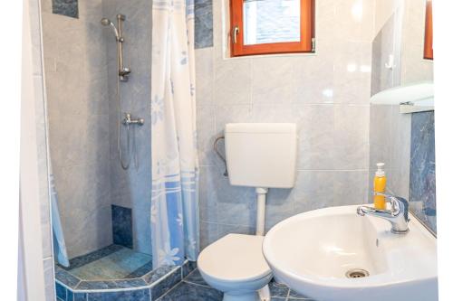 a bathroom with a toilet and a sink and a shower at Lázár Panzió és Vendégház in Forţeni