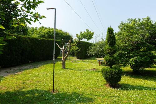 Gallery image of Salaš Vujić in Bečej