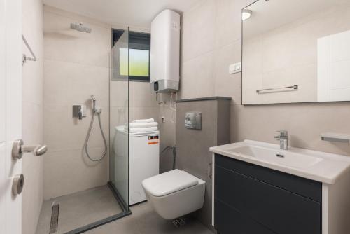 a bathroom with a toilet and a sink and a shower at Berge Apartments in Kotor