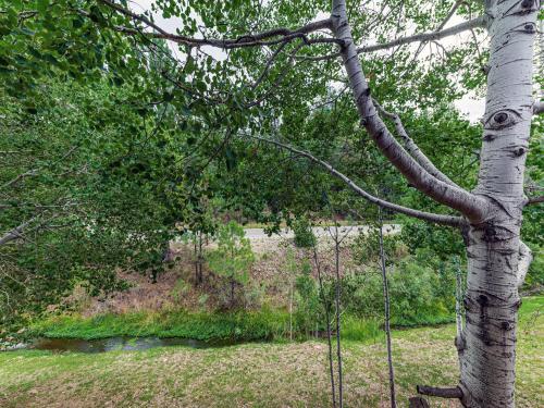 a tree with a swing in a park at Hunters Lodge in Ruidoso