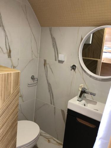 a bathroom with a sink and a toilet and a mirror at Zatoka Marina IV in Mechelinki