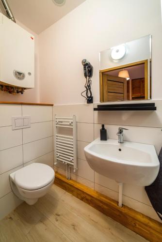 a bathroom with a sink and a toilet and a mirror at Apartament - Nocna Sowa in Głuszyca