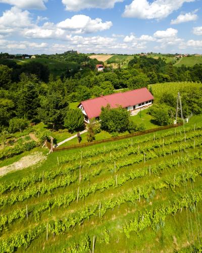 a vineyard with a barn and a field of vines at POČITNIŠKA HIŠA PRLEČKA in Miklavž pri Ormožu