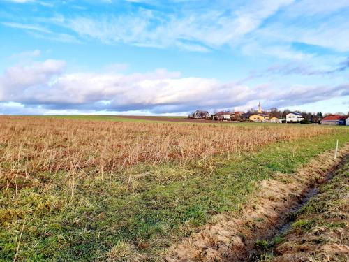 a field of brown grass with houses in the background at Große Altbauwohnung auf dem Land in Kallham