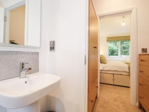uma casa de banho com um lavatório e um espelho em Unique Luxury Lodge em Windermere