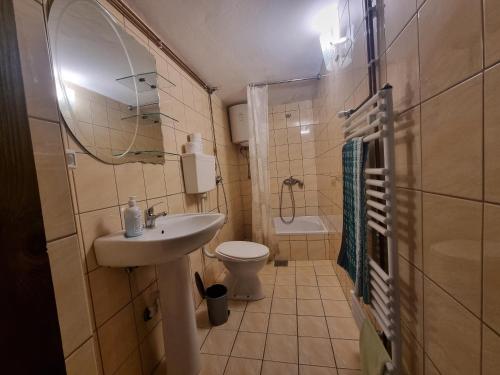 un piccolo bagno con lavandino e servizi igienici di Green Forest a Vlasic