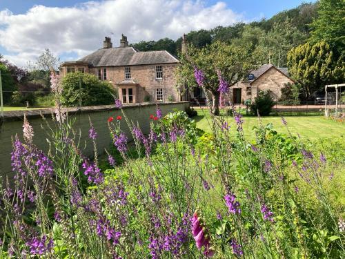 un jardín con flores púrpuras frente a una casa en Glenarch House en Dalkeith