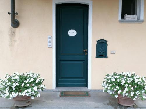 a green door on a house with two plants at LAVANDA appartamento in Vigliano Biellese