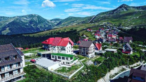 an aerial view of a village in the mountains at Pensiunea Belvedere in Ranca