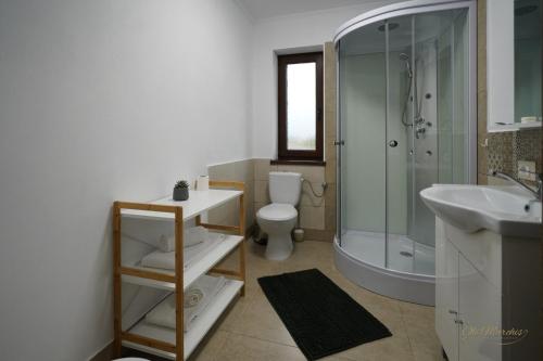 a bathroom with a toilet and a sink and a shower at La 2 pruni 