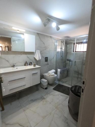 a bathroom with a sink and a shower and a toilet at Evi's House in Kandia