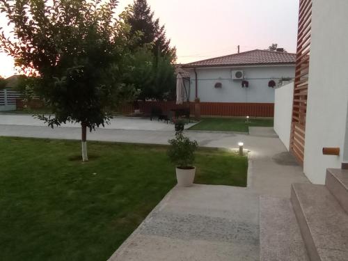a yard with a tree and a house at Pestele Ca Odinioară in Murighiol