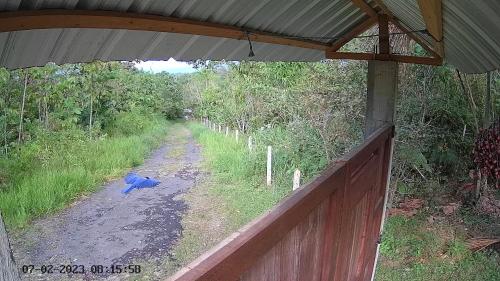 Jardín al aire libre en Rainforest Hut