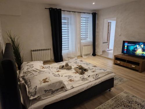 a bedroom with a bed with teddy bears on it at Apartament Baza in Przemyśl