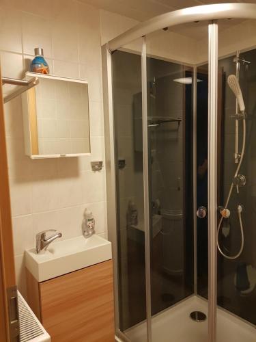 La salle de bains est pourvue d'une douche et d'un lavabo. dans l'établissement Ferienwohnung Rasch, à Schierke