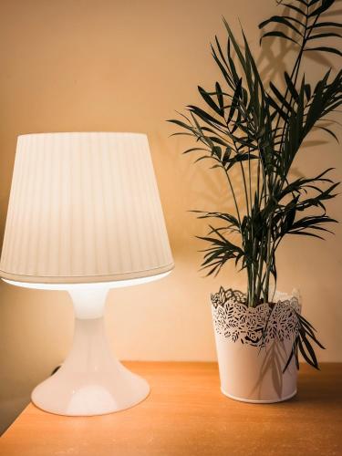 a lamp on a table next to a potted plant at Viesnīca Kandava in Kandava