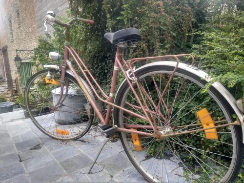 a bike is parked next to a plant at La grange aux dîmes in Walcourt