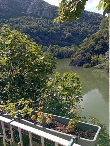 balcón con vistas al río y a los árboles en hotel restaurant le saint nazaire, en Saint-Nazaire-en-Royans