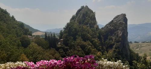 a group of mountains with purple flowers in the foreground at Borgo dei Sassi di Roccamalatina - Room and Breakfast in Rocca Malatina