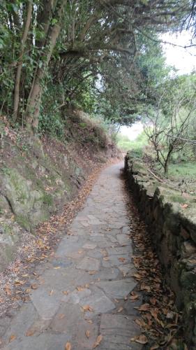 un camino de piedra junto a una pared de piedra en Charming Playa O Vicedo, en O Vicedo
