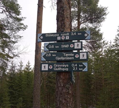 a group of signs on a pole in a forest at Hanaborg apartment in Lorenskog