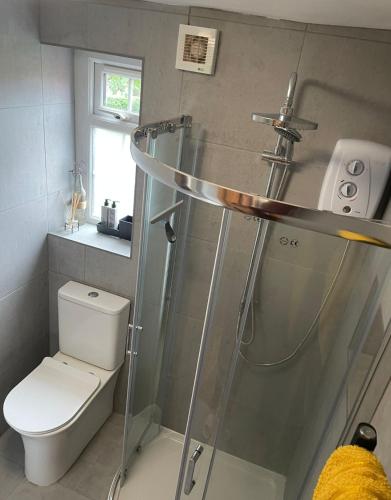 a bathroom with a shower and a toilet at Netherton Studio Apartment 1 in Llandrillo-yn-Rhôs
