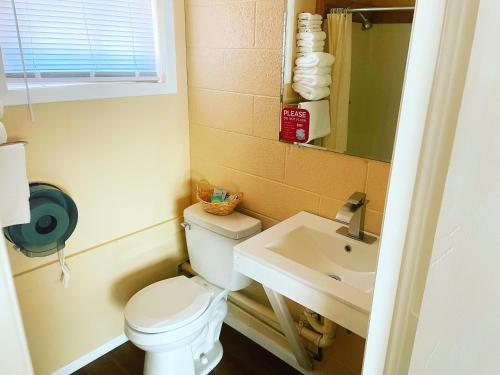 La petite salle de bains est pourvue de toilettes et d'un lavabo. dans l'établissement Riverview Inn, à Grayling
