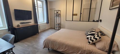 een slaapkamer met een bed en een flatscreen-tv bij Le petit Godron in Nancy