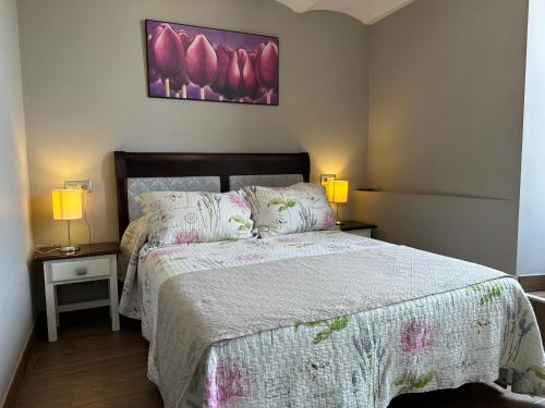 1 dormitorio con 1 cama, 2 lámparas y una pintura en Alojamientos Peña del Rey, en Cazorla