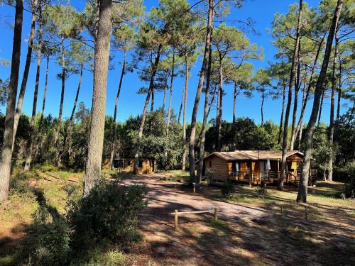 Green Resort – Photos 3