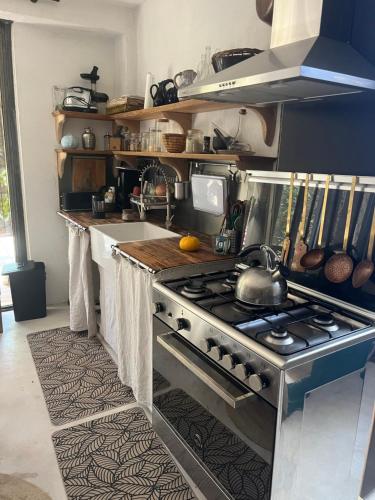 Il comprend une cuisine équipée d'une cuisinière en acier inoxydable. four supérieur dans l'établissement Maison typique Corse écologique, à Coti-Chiavari