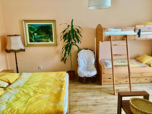 a bedroom with two bunk beds and a plant at Apartmán Flora in Olomouc
