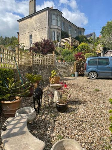 a dog standing in a yard in front of a house at Southernhay in Beer