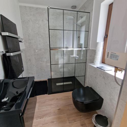 a bathroom with a glass shower with a black stool at Przystań nad Sanem in Tyrawa Solna