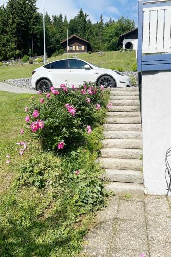a white car parked next to a bunch of flowers at Haus Waldblick in Philippsreut