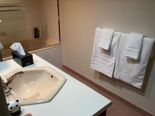 a bathroom with a sink and white towels at Garden room B in West Vancouver