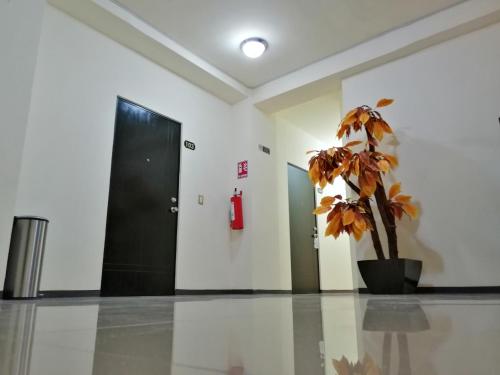 a plant in a hallway with a black door at Hotel Real Jaguar in Tuxtla Gutiérrez