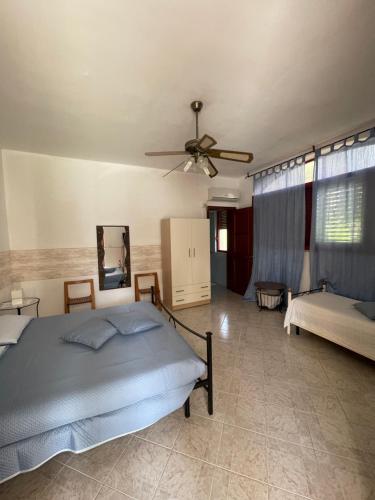 Fotografie z fotogalerie ubytování Smit House v destinaci Torre dell'Orso