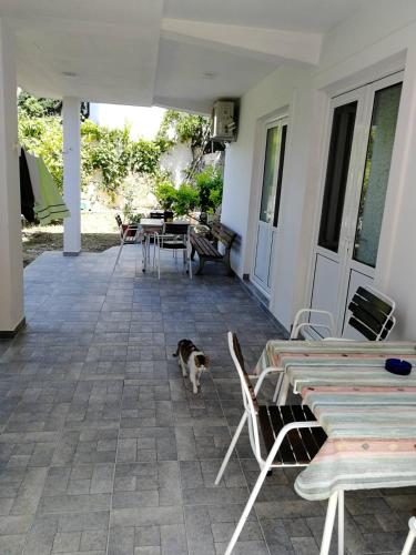Φωτογραφία από το άλμπουμ του Apartments Ivana σε Ulcinj