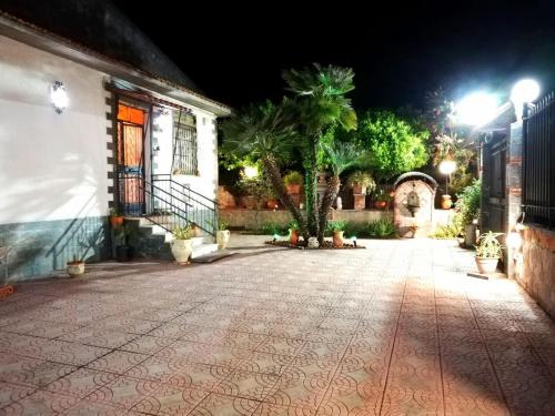 een lege straat 's nachts met een gebouw en palmbomen bij Punta Family House in San Giovanni la Punta