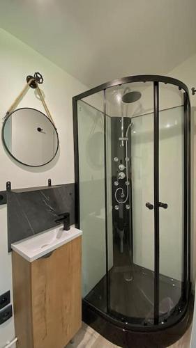 een badkamer met een douche, een wastafel en een spiegel bij Petite maison dans la prairie in Marmeaux