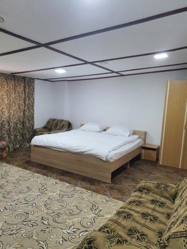 a bedroom with a large bed and a ceiling at Hotel Diana in Cahul