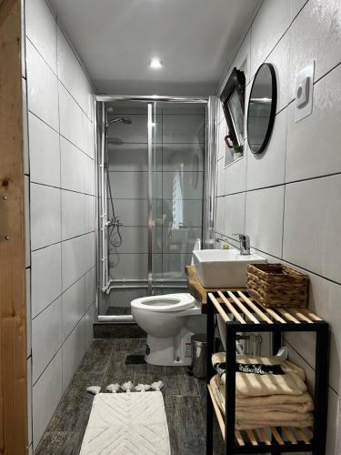 a bathroom with a toilet and a shower and a sink at Smestaj Durungara Jović in Petrovac na Mlavi