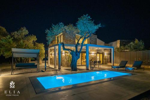 a villa with a swimming pool at night at ELIA STONE VILLAS in Skala Prinou
