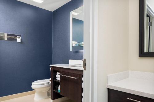 a blue bathroom with a toilet and a sink at Residence Inn by Marriott Decatur Emory Area in Decatur