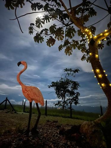 a flamingo statue standing next to a tree with lights at LUZ DE LUNA mesa de los santos house in Los Santos