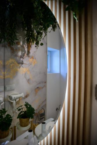 a bathroom with a mirror and a sink at Vila AMAZON in Dubova
