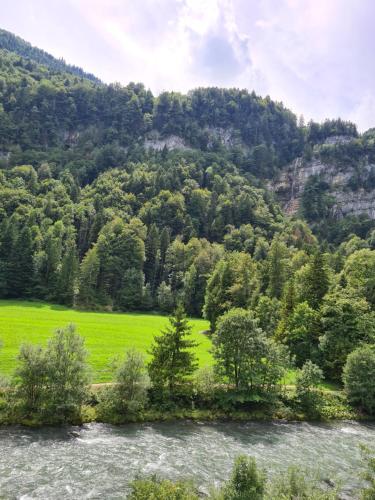 um campo verde com árvores em frente a uma montanha em Muota River & Industry Apartment by Nature Apartments Switzerland em Muotathal