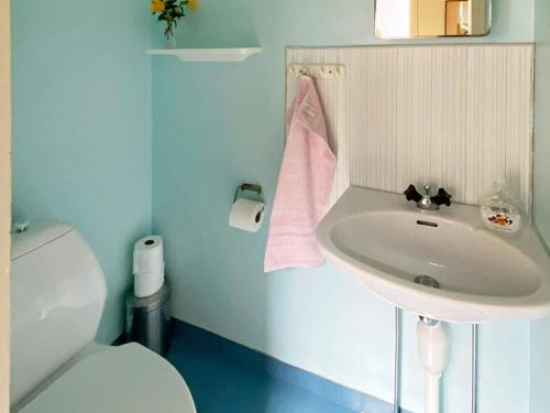 La salle de bains est pourvue d'un lavabo blanc et de toilettes. dans l'établissement Holiday home HUNVIGAN, à Höllviken